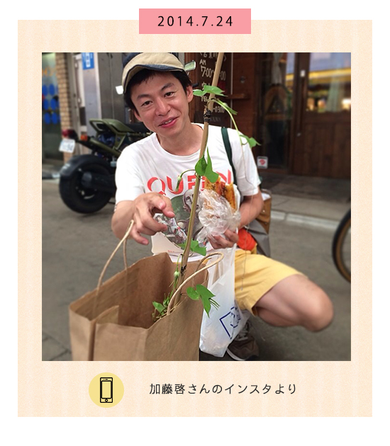 7月24日