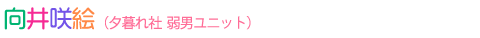 向井咲絵